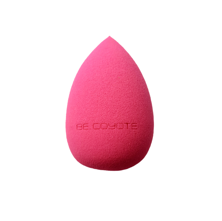 Beauty Sponge